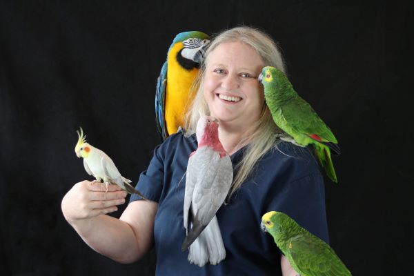Birds will be at Pets in the Park.