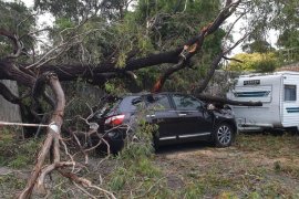 Broken tree fallen on to roof of parked car