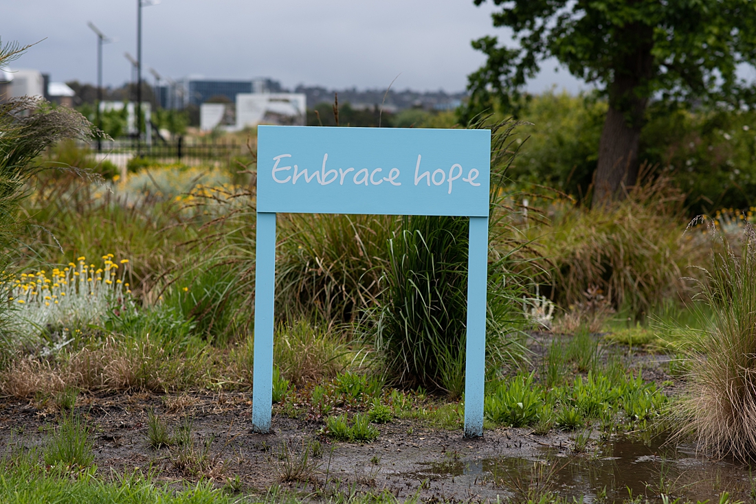 Rebecca Westlund Acts of Hope