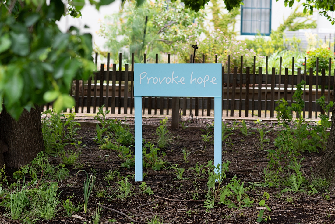 Rebecca Westlund Acts of Hope