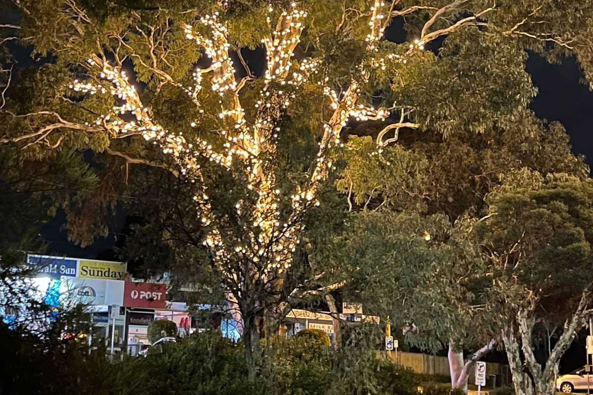 Fairy lights installed on tree in Knoxfield Shopping Village.