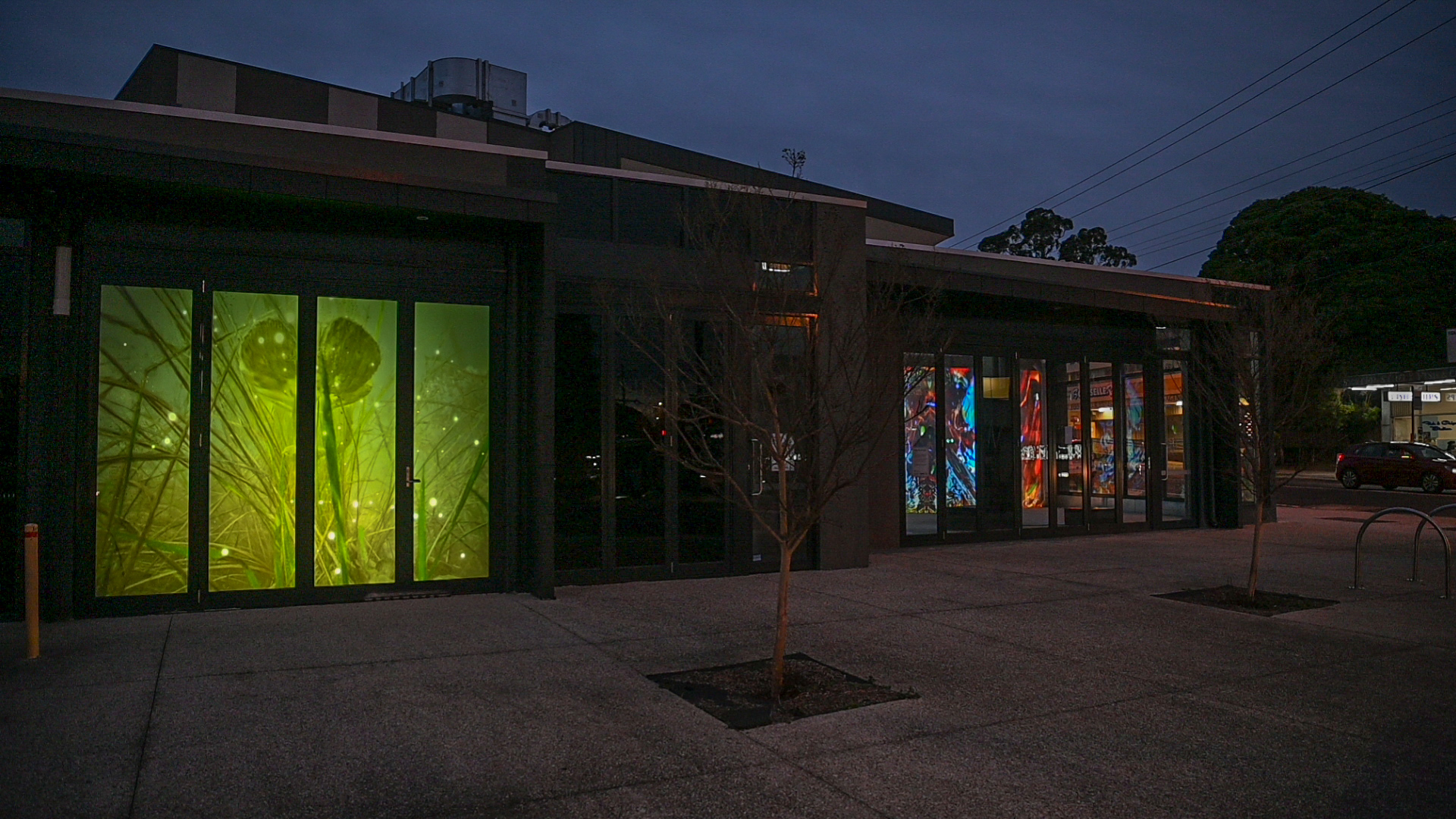 Two separate window projection installations - one of a tree, the other of a building