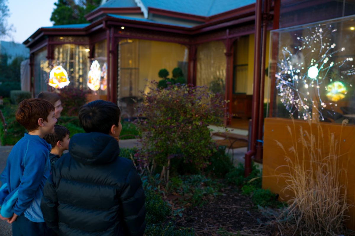 Holographic installation in windows of Stamford Park Homestead