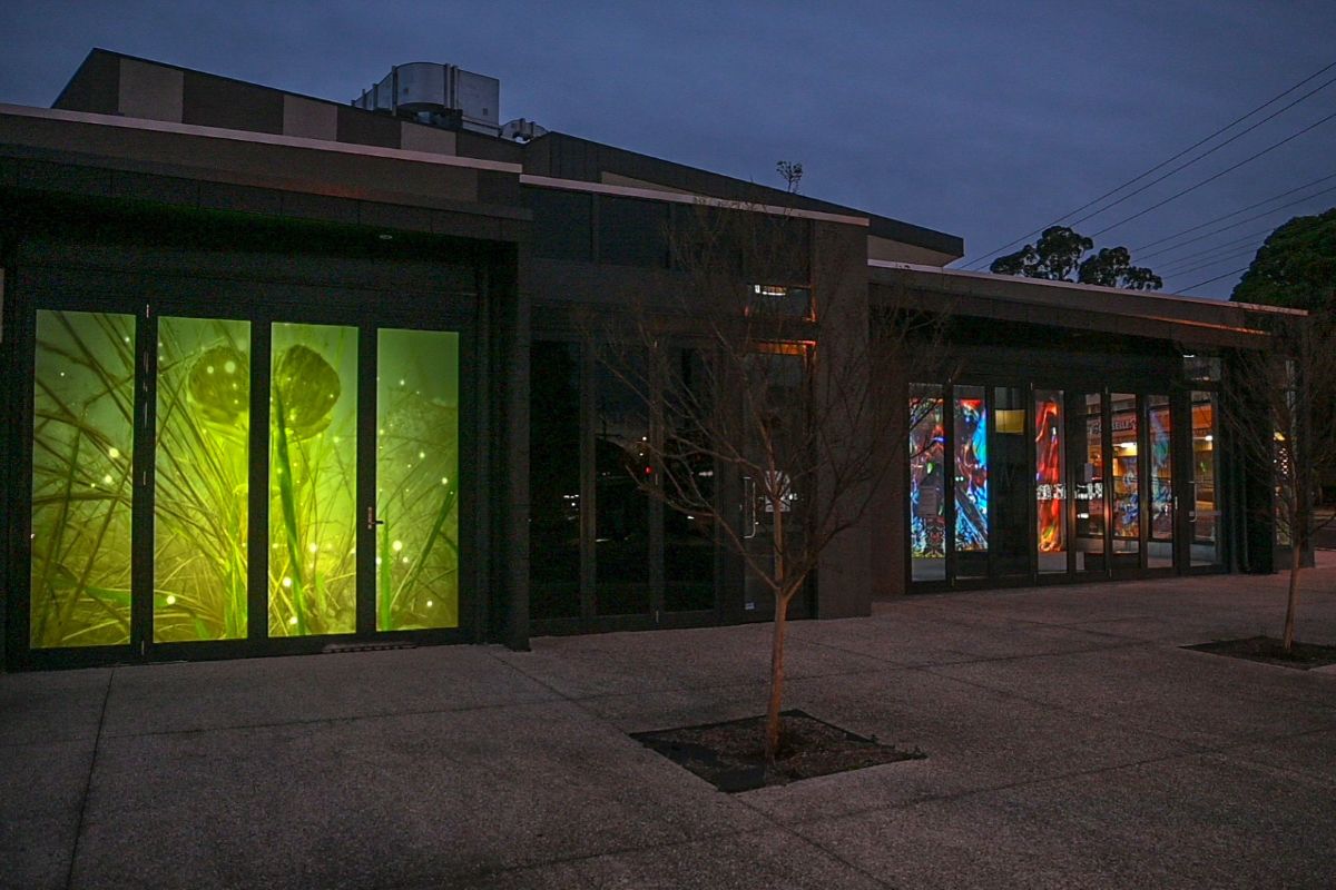 Two separate window projection installations - one of a tree, the other of a building
