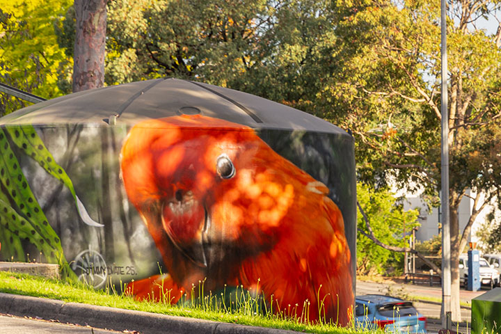 King Parrot and Scarlett Robin mural