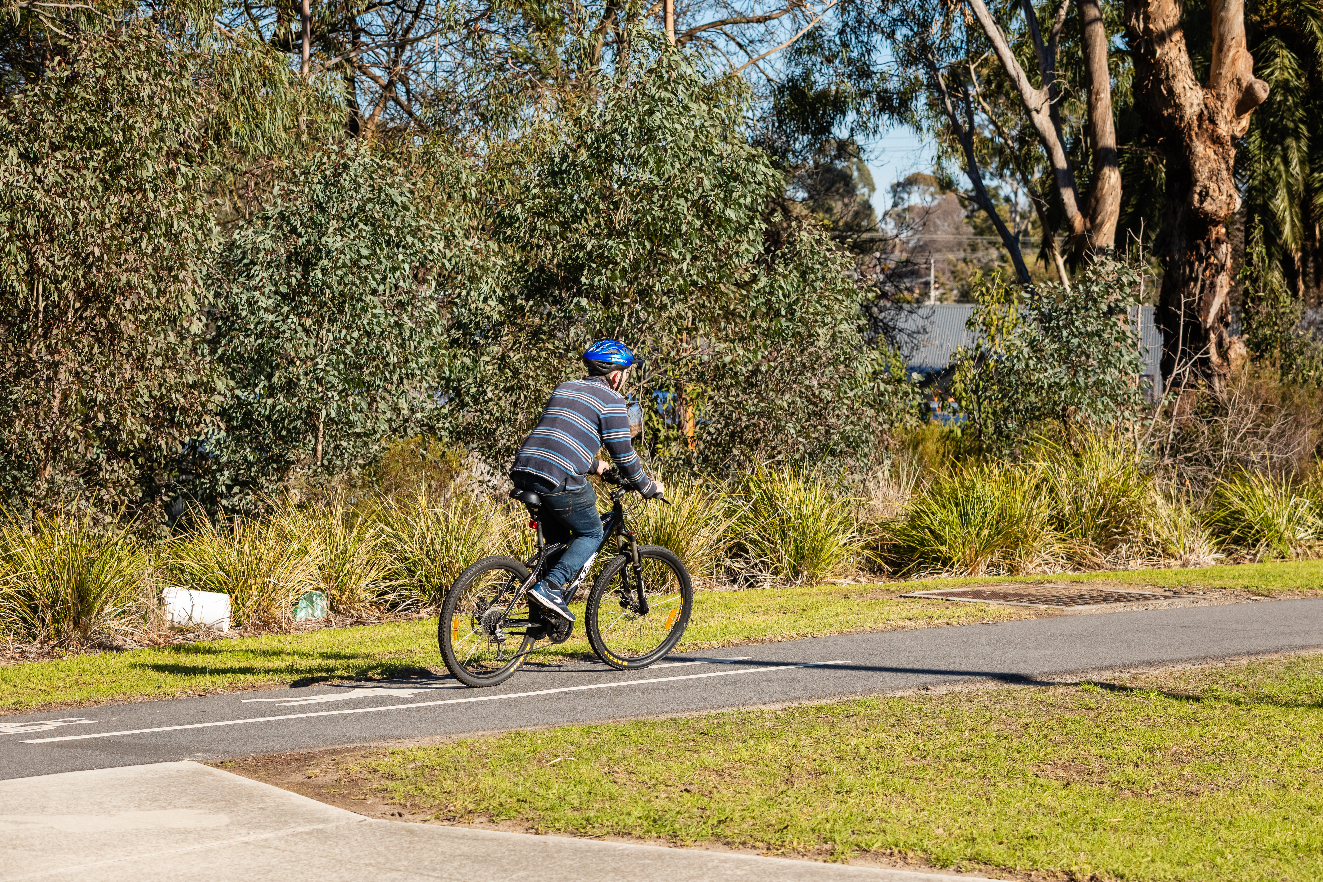 person riding bicycle