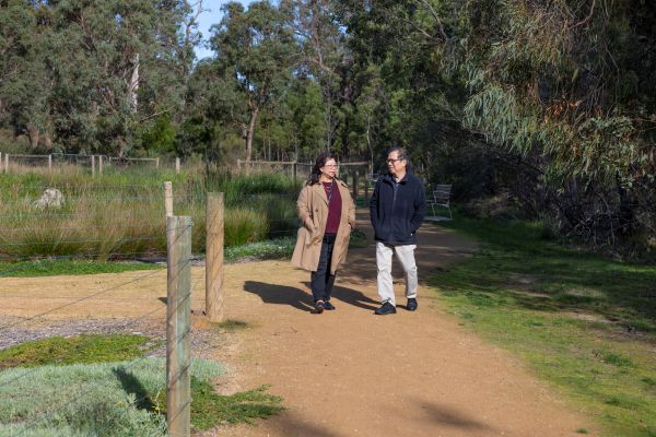 people walking in wetlands