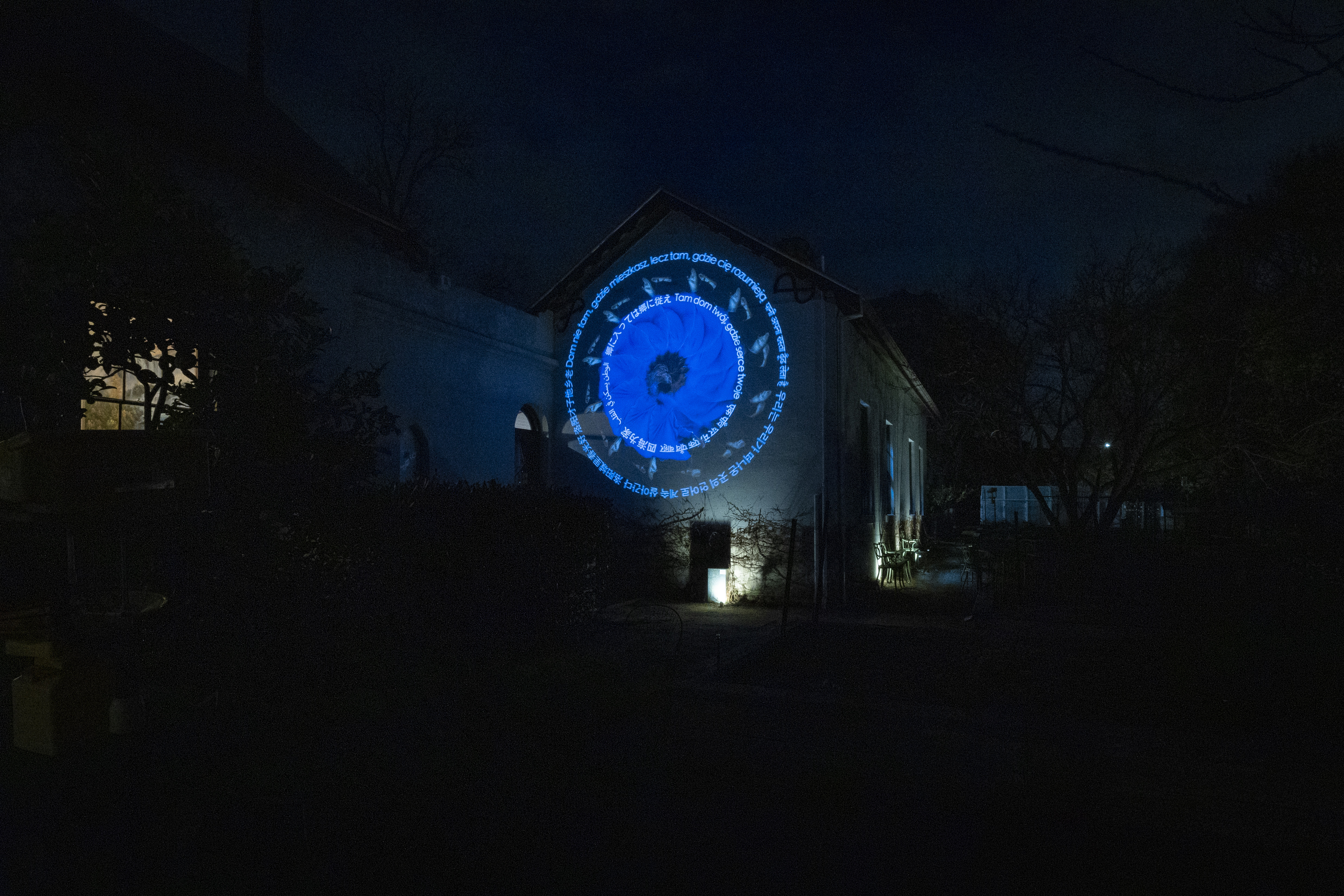 Night-time projection artwork displayed on the side of a building, featuring a blue flower surrounded by circular text in multiple languages and illuminated against the dark surroundings.