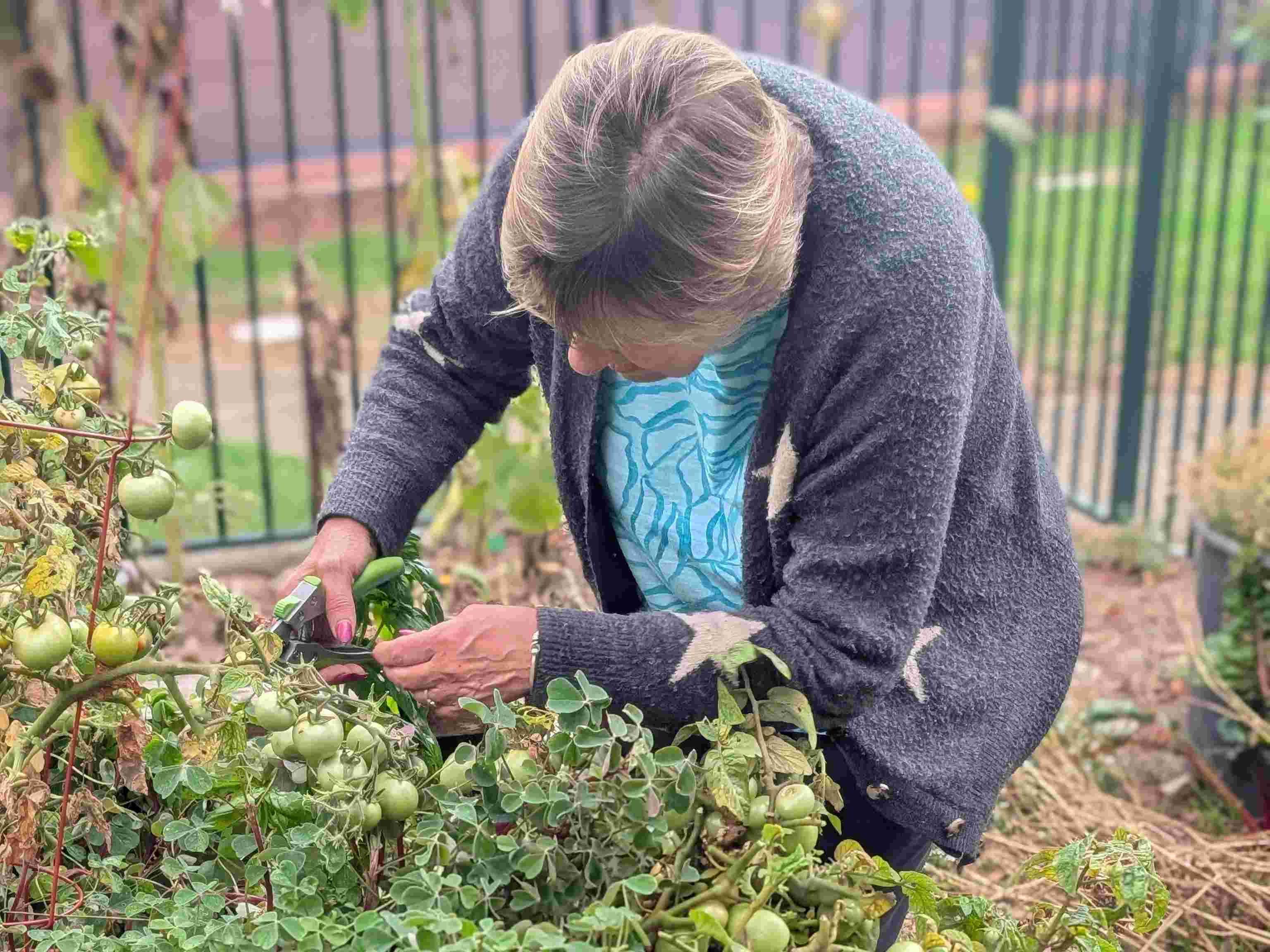 Active ageing through gardening
