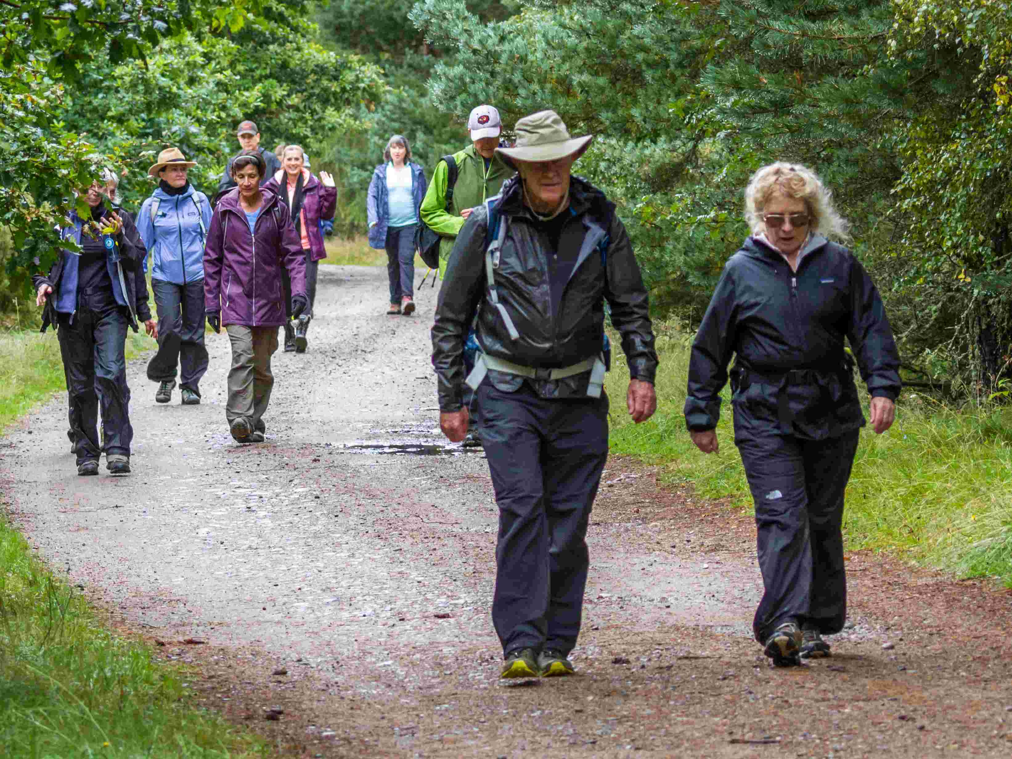 Heart Foundation Walking Group