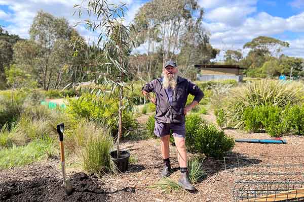 Darren Wallace standing by Separation Tree sapling