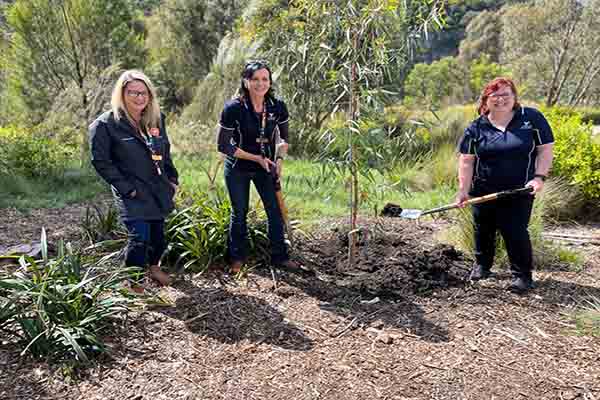 Mayor Marcia Timmers-Leich, Cr Jude Dwight and Cr Megan Baker digging in the sapling
