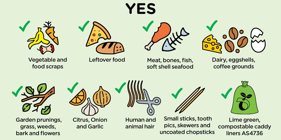 FOGO accepted items infographic with a green “YES” heading and green tick symbols. Accepted materials include vegetable and food scraps, leftover food, meat, bones, fish and soft-shell seafood, dairy products, eggshells and coffee grounds, garden prunings, grass, weeds, bark and flowers, citrus fruit, onion and garlic, human and animal hair, small sticks, toothpicks, skewers and uncoated chopsticks, and lime-green compostable caddy liners certified to AS4736.