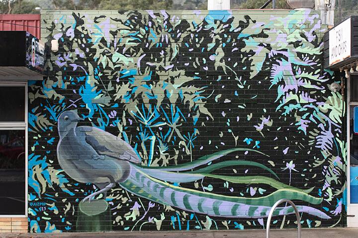 Lyrebird mural