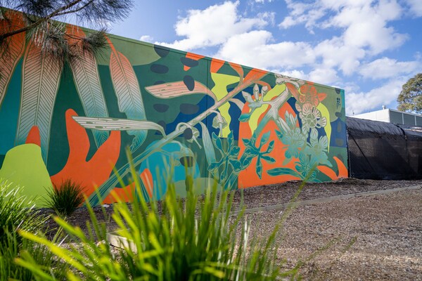 Mural at 257 Dorset Rd Boronia