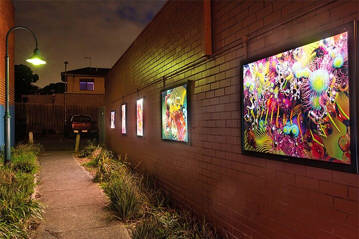 Paloma Lane light boxes