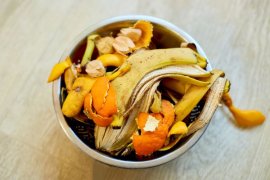 Food leftovers