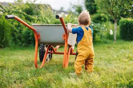 Boy putting in cut grass and leaves in a wheelbarrow