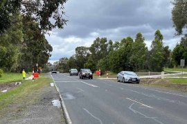 Napoleon Road school crossing