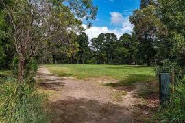 An open space at Koolunga Native Reserve. There is a dirt pathway next to green grass and surrounded by bushland.