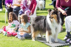 Children and animals at the Pets in the Park event.