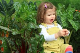 Gardens For Harvest program