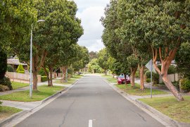 Residential road, street light and trees
