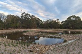 Egan Lee Wetlands. A lake with embankments and small plants surrounding and trees in the background