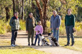 Community members helped shape Council's new four-year plan