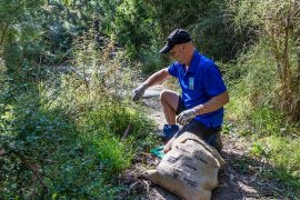 volunteer at a working bee