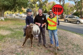 Thomas atop Taffy, with his dad Rob and school crossing supervisor Nicole Klep.