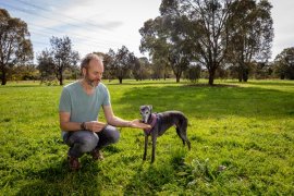 Person with their dog in a park