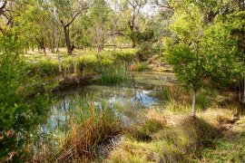 Starlight Reserve Wetlands in Rowville