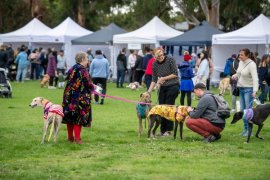 People and dogs at a recent Pets in the Park event in Knox