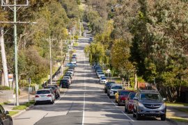 Tree lined street with cars parked on either side of the road