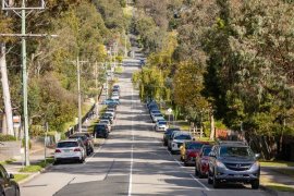 Tree lined street with cars parked on either side of the road