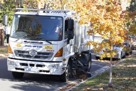 Street sweeping truck sweeping leaves