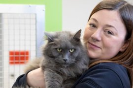 A person holding a cat.