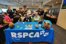 RSPCA table at the Knox Volunteer Expo