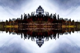Symmetrical landscape image showing a mirrored reflection of trees and foliage over still water. The composition forms a kaleidoscopic pattern with a central axis, blending the treeline and sky into a balanced, abstract shape.