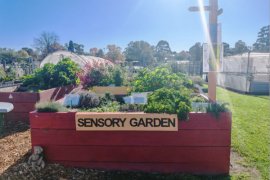 Sensory garden bed
