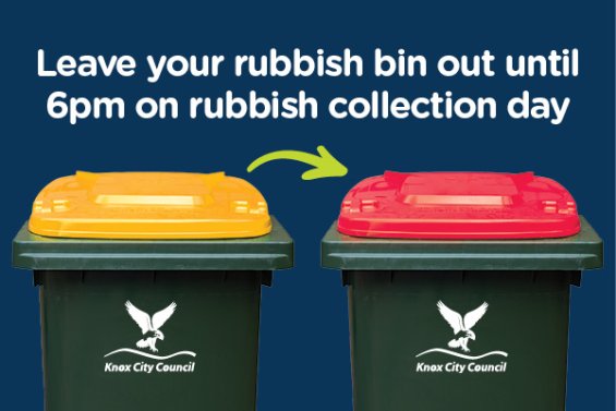 Image of yellow-lidded household rubbish bin and red-lidded household rubbish bin