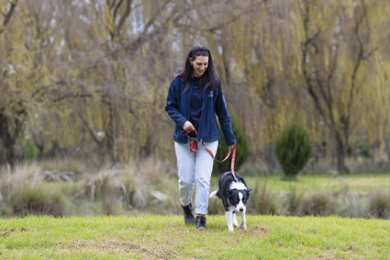 A person walking with a dog