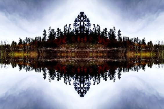 Symmetrical landscape image showing a mirrored reflection of trees and foliage over still water. The composition forms a kaleidoscopic pattern with a central axis, blending the treeline and sky into a balanced, abstract shape.