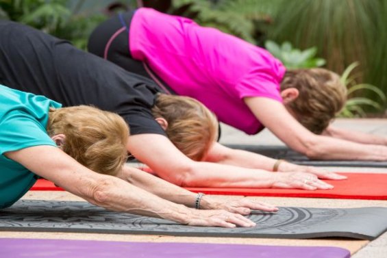 yoga on mats