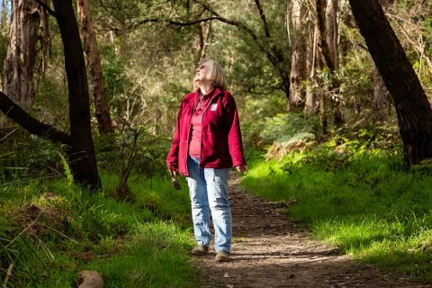 Person walking in nature