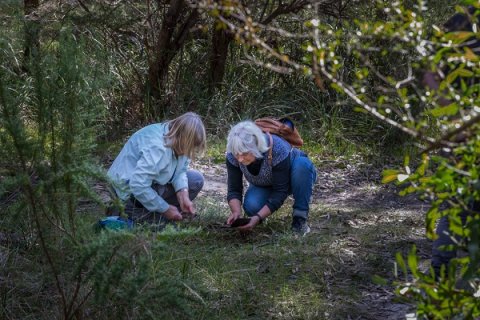 People looking at items on the ground in nature