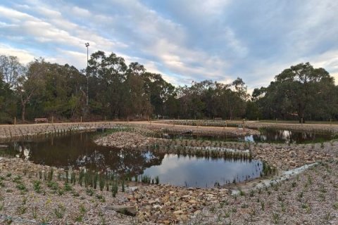 Egan Lee Wetlands. A lake with embankments and small plants surrounding and trees in the background