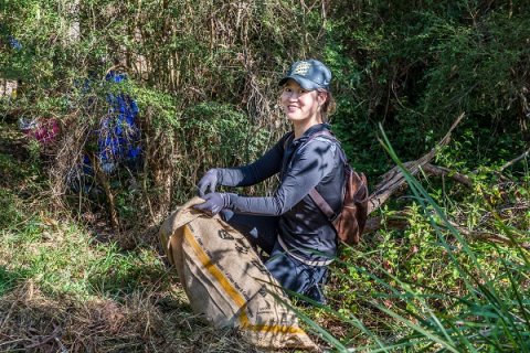 Person in a bushland reserve