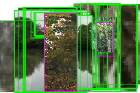 A fragmented collage of a riverside scene with trees reflected in water, overlaid with numerous bright green and magenta rectangular detection boxes highlighting different areas of the image, creating a layered, glitch-like effect.
